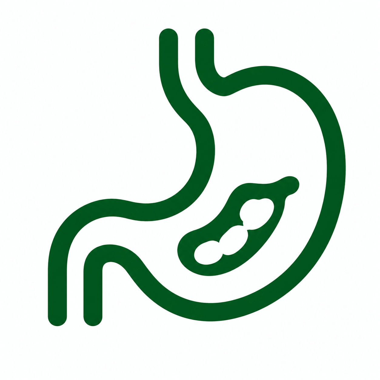 Digestión